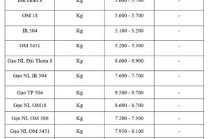 Giá lúa gạo hôm nay ngày 19/11: Thị trường trầm lắng