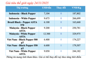 Giá tiêu hôm nay 24/11/2025: Đi ngang