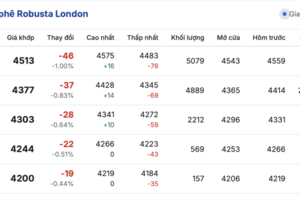 Giá cà phê hôm nay 27/11/2025: Bật tăng trở lại