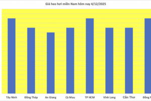 Giá heo hơi hôm nay 4/12/2025: Miền Bắc chạm mốc 60.000 đồng/kg