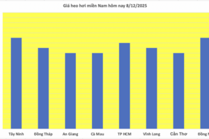Giá heo hơi hôm nay 8/12/2025: Kéo dài đà tăng