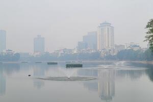 Bắc Bộ có sương mù, Trung Bộ cục bộ có mưa rất to