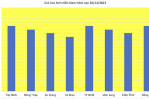 Giá heo hơi hôm nay 10/12/2025: Biến động trái chiều