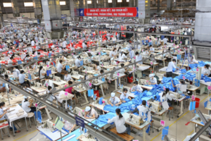 Hệ sinh thái FTA giúp doanh nghiệp chuẩn hóa, đáp ứng quy tắc xuất xứ