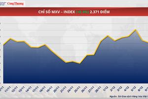 Giá ngô thế giới rơi khỏi ngưỡng 175 USD/tấn