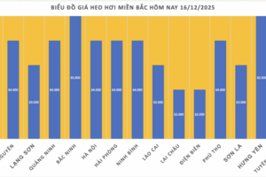 Giá heo hơi hôm nay 16/12/2025: Miền Trung tăng đến 4.000 đồng/kg