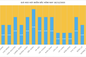 Giá heo hơi hôm nay 18/12/2025: Lập đỉnh mới - 67.000 đồng/kg