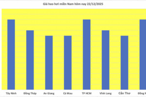 Giá heo hơi hôm nay 22/12/2025: Tiếp đà tăng, đạt đỉnh mới