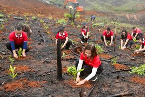 SeABank hỗ trợ trồng gần 671 nghìn cây xanh tại Hà Tĩnh, vượt mục tiêu 1 triệu cây xanh