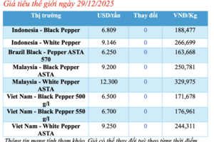 Giá tiêu hôm nay 29/12/2025: Cao nhất 151.000 đồng/kg