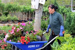 Livestream hoa kiểng Sa Đéc: 'Cú huých' chuyển đổi số từ nhà vườn