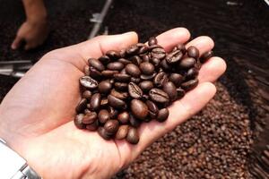 Năm 2025, ngành Nông nghiệp và Môi trường đạt và vượt 9/9 chỉ tiêu