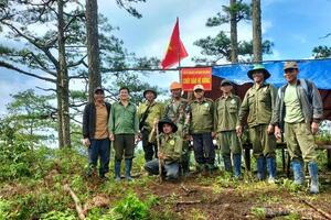 Lâm Đồng công bố số điện thoại đường dây nóng về bảo vệ rừng