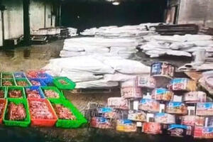 Hải Phòng khởi tố 9 bị can vụ mua bán hơn 120 tấn thịt lợn nhiễm bệnh