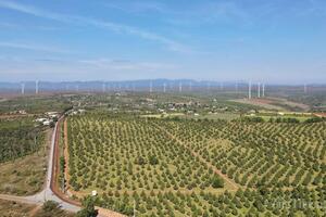 Gia Lai: Điện gió 99 MW hòa lưới, tăng nguồn điện sạch quốc gia