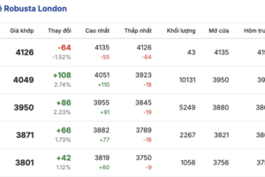 Giá cà phê hôm nay 22/01/2026: Đảo chiều giảm mạnh