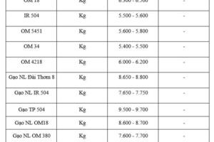 Giá lúa gạo hôm nay ngày 23/1: Gạo thơm dẻo neo cao, lúa chững giá