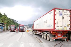 Nhập khẩu tăng mạnh tại các cửa khẩu Lạng Sơn trong ngày 22/1/2026