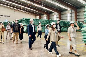 Để cà phê Việt không chỉ nhiều mà còn mạnh trên thị trường xuất khẩu