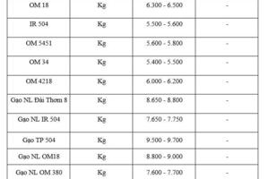 Giá lúa gạo hôm nay ngày 27/1/2026: Thị trường trầm lắng