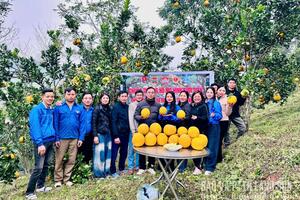 Lạng Sơn tổ chức phiên Livestream quảng bá nông sản, đặc sản