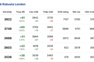 Giá cà phê hôm nay 6/2/2026: Tiếp tục giảm nhẹ
