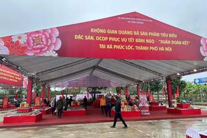 Hà Nội mở thêm gần 300 gian hàng OCOP phục vụ người dân dịp Tết 2026