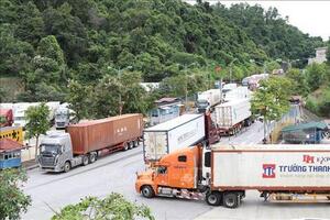 Cập nhật tin xuất, nhập khẩu qua các cửa khẩu tỉnh Lạng Sơn ngày 9/2/2026