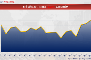 Giá đậu tương giảm nhẹ, lùi về mốc 427,5 USD/tấn