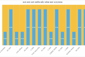Giá heo hơi hôm nay 4/3/2026: Giảm tại miền Bắc và miền Trung