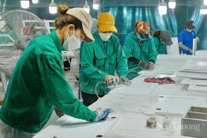 Gia Lai hỗ trợ doanh nghiệp xuất khẩu trước biến động từ Trung Đông