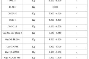Giá lúa gạo hôm nay ngày 17/3/2026: Gạo xuất khẩu OM 5451 giảm