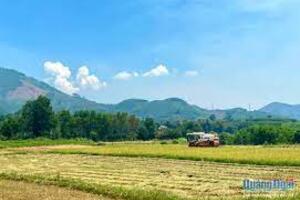 Phát huy vai trò hợp tác xã trong dồn điền đổi thửa
