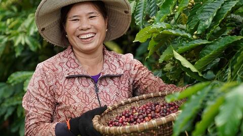 Kết nối nông sản Nam bộ và Tây Nguyên đến hàng trăm doanh nghiệp nước ngoài