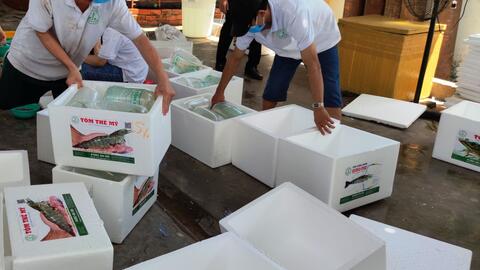 Thủy sản khó tiêu thụ, người nuôi duy trì sản xuất chờ giá lên 