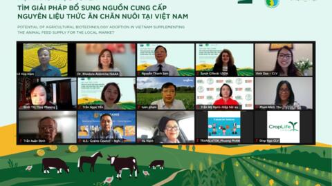Cần chiến lược cho nguyên liệu thức ăn chăn nuôi tại Việt Nam