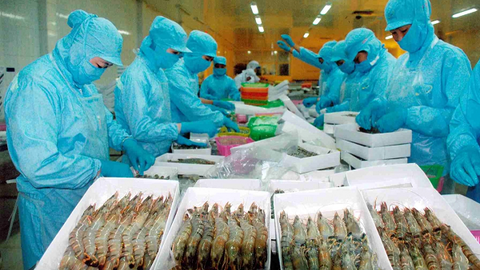 VASEP: "Chỉ 30-40% doanh nghiệp thủy sản có khả năng phục hồi ngay sau giãn cách"