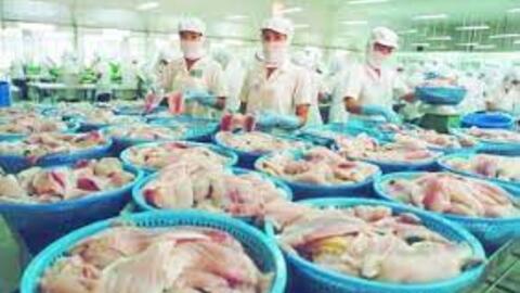 Doanh nghiệp thủy sản "ngồi trên lửa" với nghĩa vụ môi trường