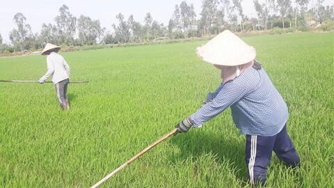 Nhiều giải pháp phát triển sản xuất