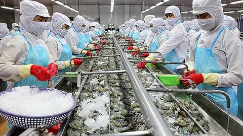 Xuất khẩu thủy sản năm 2021 dự kiến sẽ đạt 8,4 tỷ USD