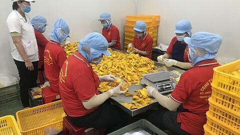Dồn lực khôi phục chuỗi ngành hàng trái cây