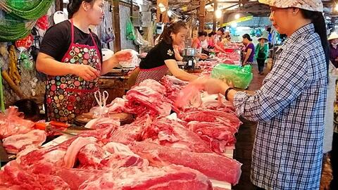 Hà Nội: Cân đối cung cầu, ổn định giá thịt lợn Tết 2021 ở mức hợp lý
