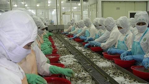 Xuất khẩu tôm sang Hàn Quốc trong năm 2021 dự kiến tăng