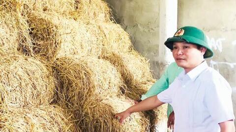 Dự trữ thức ăn, đưa gia súc về chuồng trại mùa rét