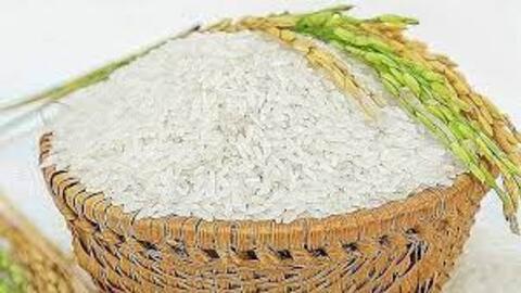 Giá lúa gạo hôm nay 26/11: Giá trong nước duy trì ổn định, giá xuất khẩu giảm 4 USD/tấn