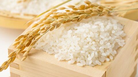 Giá lúa gạo hôm nay 14/12: Giá lúa tăng 100 đồng, giá gạo xuất khẩu đi ngang
