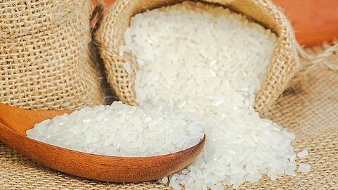 Giá lúa gạo hôm nay 16/12: Giá lúa giảm, giá gạo xuất khẩu biến động trái chiều
