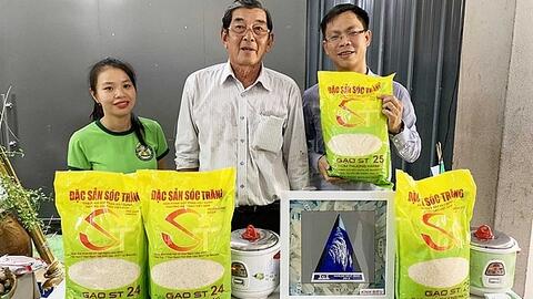 Tổng cục Quản lý thị trường vào cuộc hỗ trợ bảo vệ thương hiệu gạo ST24, ST25 trong nội địa