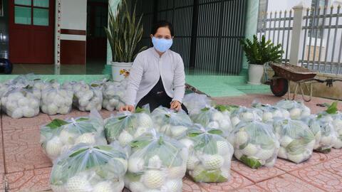 Nông dân trồng ổi gặp khó vì giá giảm kéo dài 