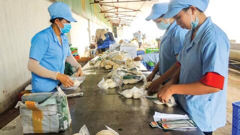 Ngành chế biến nông sản chuyển mình phù hợp xu thế mới 